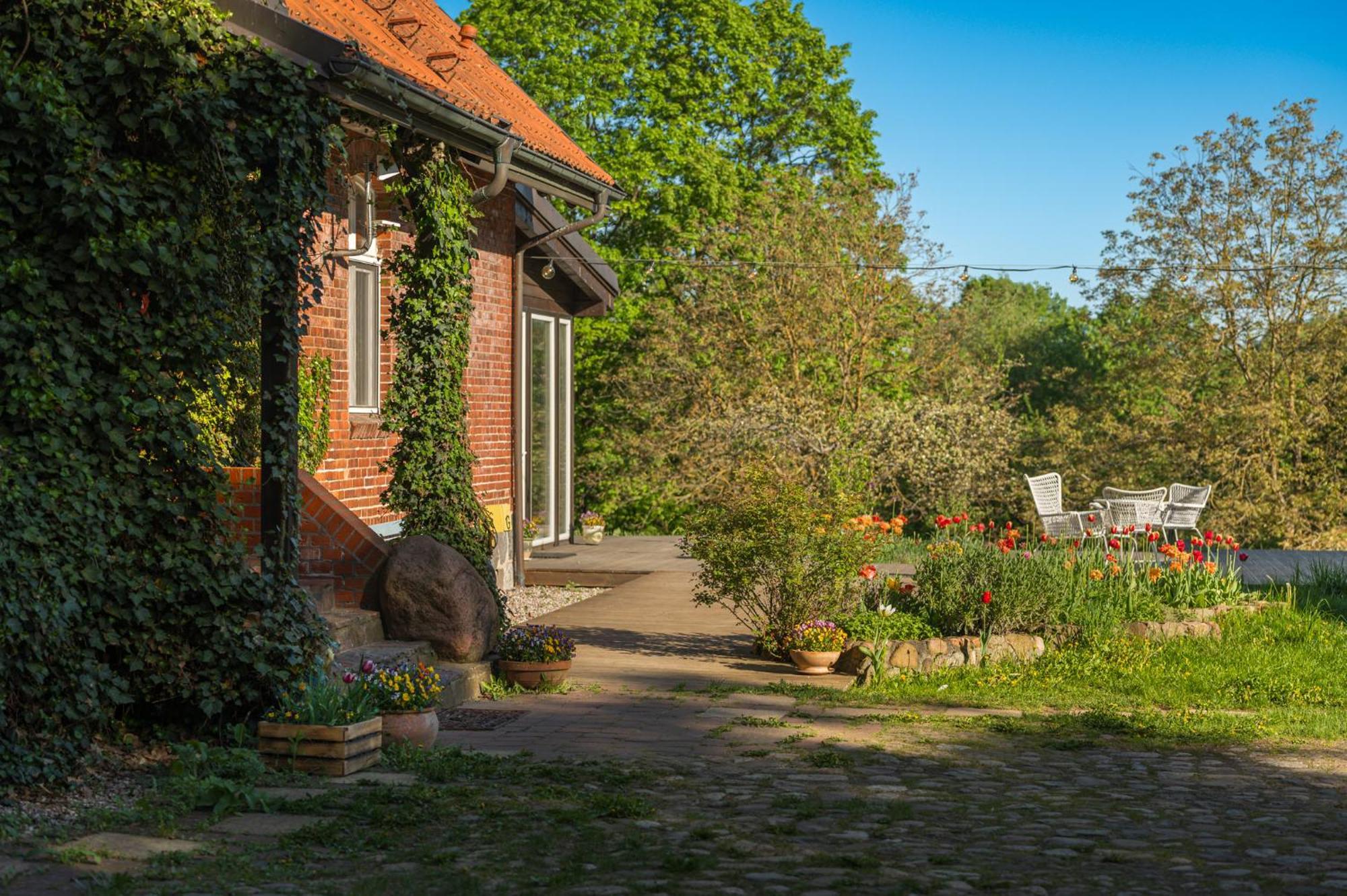 Dom Goscinny Stara Szkola Wysoka Wieś Exterior foto